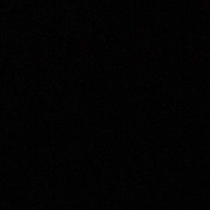 Meet your Posher, Cheyenne